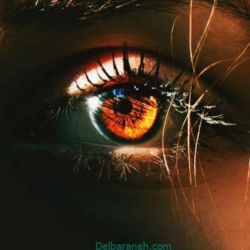 عکس واقعیت هایی که شما نمی‌دانید