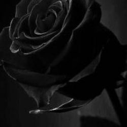 ازنظرمن دنیاجای بهتری بودکه اینانبودن