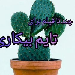 عکس 🎬چند تا فیلم برای تایم بیکاری🎬