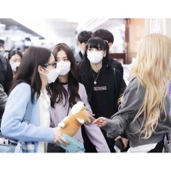 بروزترین عکس های بلک پینک