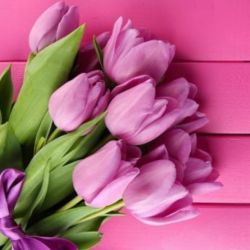 شخصیت های داستان من