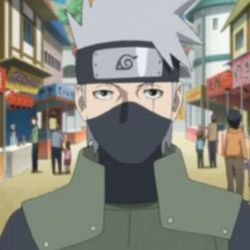 اطلاعات کامل از کاکاشی هاتاکه+عکس