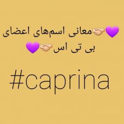 💜🤝🏻معانی اسم های اعضای بی تی اس🤝🏻💜