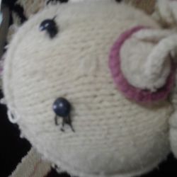 تست هوش چقدر (حایوا) رو می شناسی؟