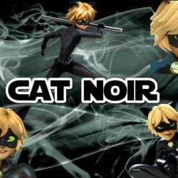 چقدر کت نوار رو میشناسی؟🐈‍⬛