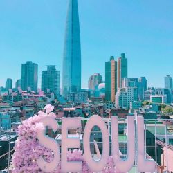 عکس اصطلاحات کیپاپ2