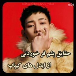 حقایق پشم ریزون از ایدلای کیپاپ😹🍃