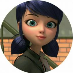 چقدر خانواده دوپنچنگ رومیشناسی