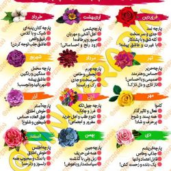 💖خصوصیات متولدین هر ماه💖