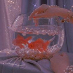 خواسته ی من از تستچی