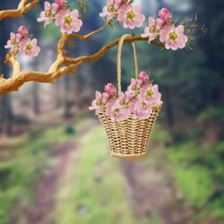 معرفی بهترین سریال های تاریخی کره 🇰🇷💕