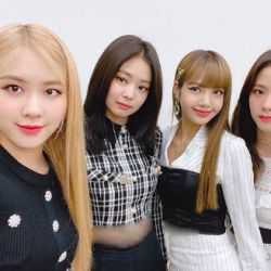 دو راهی سخت واسه بلینک ها