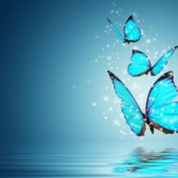 🌷شخصیت شناسی از روی حیوان 🌷