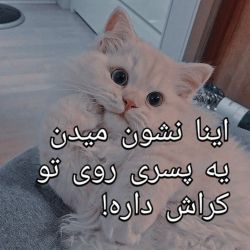 کاور
