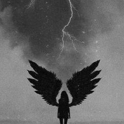 عکس از نظر دیگران حیوان درون شما چیست