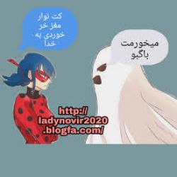 کاور