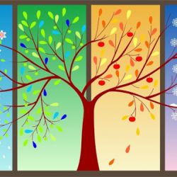 خصوصیات متولدین هر ماه