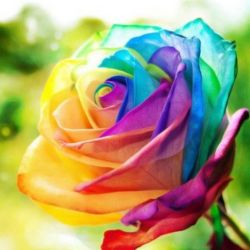 ♥والپیپر های کیوت♥