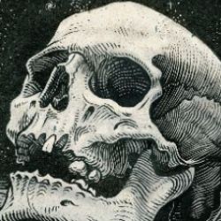 💀☠عکس اسکلت واسه پروف☠💀