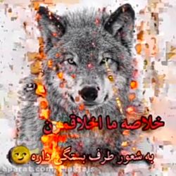 به دوستات اینا را بگو تا بفهمن حدشون کجاست😒