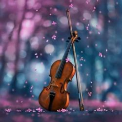 عکس در آینده (کی پاپ )