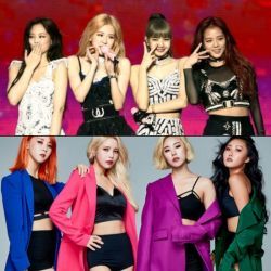 ری اکشن بلک پینک اگه بهشون بگی منو دوست داری 🥺