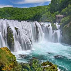 چقدر شبیه منی