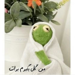 کاور