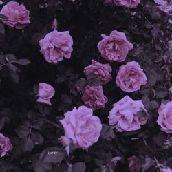 بافرهنگ_باش🐼📓➺