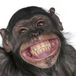 بیایین تو سم خالص اوردم واستون😂😁