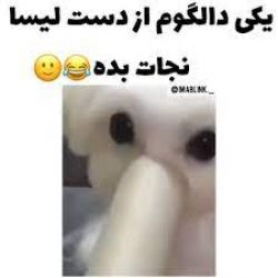 عکس یکی دالگوم رو از دست لیسا نجات بدههه 🌼