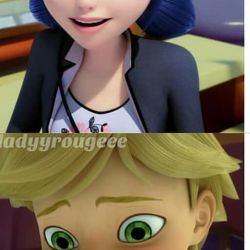 میراکلس شناسی کت نوار  لیدی باگ