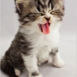 ویژگی متولدین هرماه🧸🍓(1)