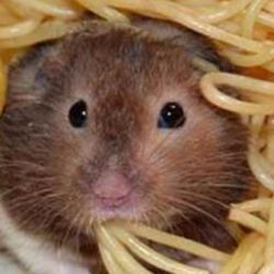 چ جرزنی هایی بکنیم تو شربت، غذا و.... 😂😐