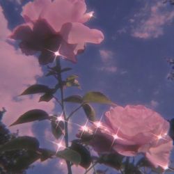 چند تا عکس از بیلی 💚