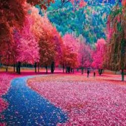 تست خودشناسی با تصویر