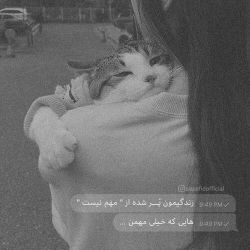 کاور