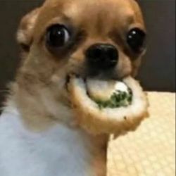 بد ترین مدل موهای کیپاپ😐🍃