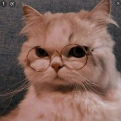 من برگشتم با این اکانت :/ 🤪