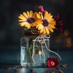 عکس آیا قشنگ هستی؟