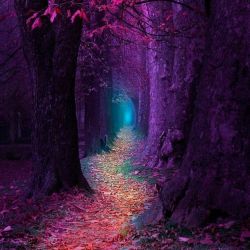 عصبانی ترین گروه خونی ها