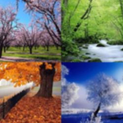 شبیه کدوم فصلی