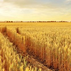 اینکه من یه دختره غیر عادیم جرم نیست!