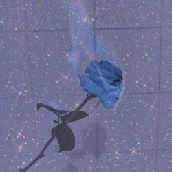 مسابقه ادیت فِی