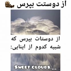 عکس از دوستات بپرس شبیه کدوم از اینایی؟🐇❤️⁩