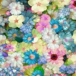 معرفی فالوور های خوبم