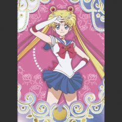 عکس هایی از انیمه سیلورمون که هیچ جا پیدا نمیشه