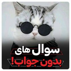 سوال های بدون جواب