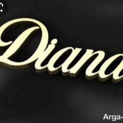 چقدرDIANAرو میشناسی؟