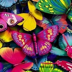 معرفی فالوور های خوبم2